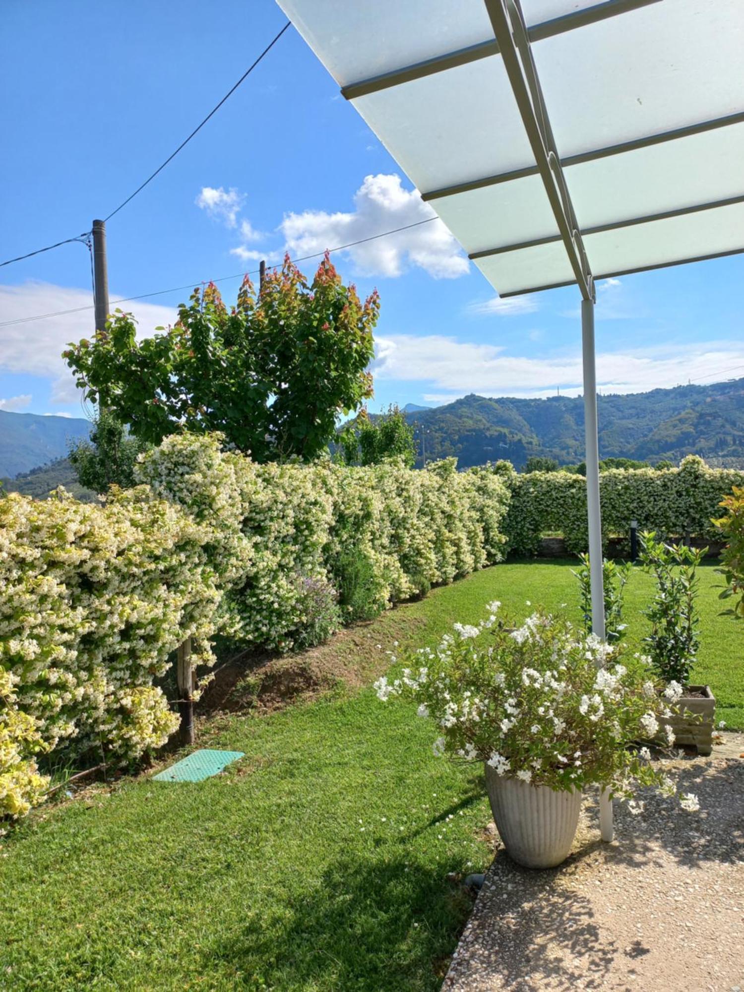 Rufus House Villa Mommio Dış mekan fotoğraf